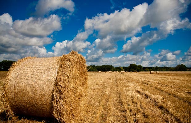 Vivre à la campagne quand on est électrosensible : une fausse bonne idée ?